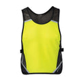 NightLife Reflective Vest II