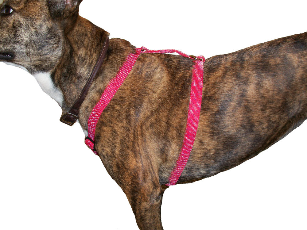 Glow Dog Reflective Fido Harness