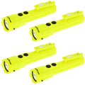 Intrinsically Safe Permissible Dual-Light™ Flashlight w/Dual Magnets XPP-5422GM